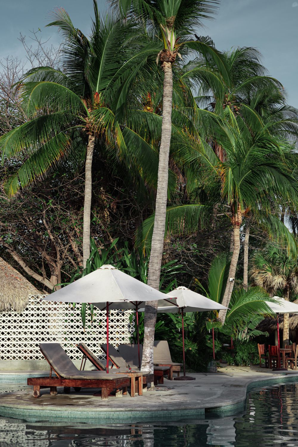 Luxury poolside loungers under palm trees