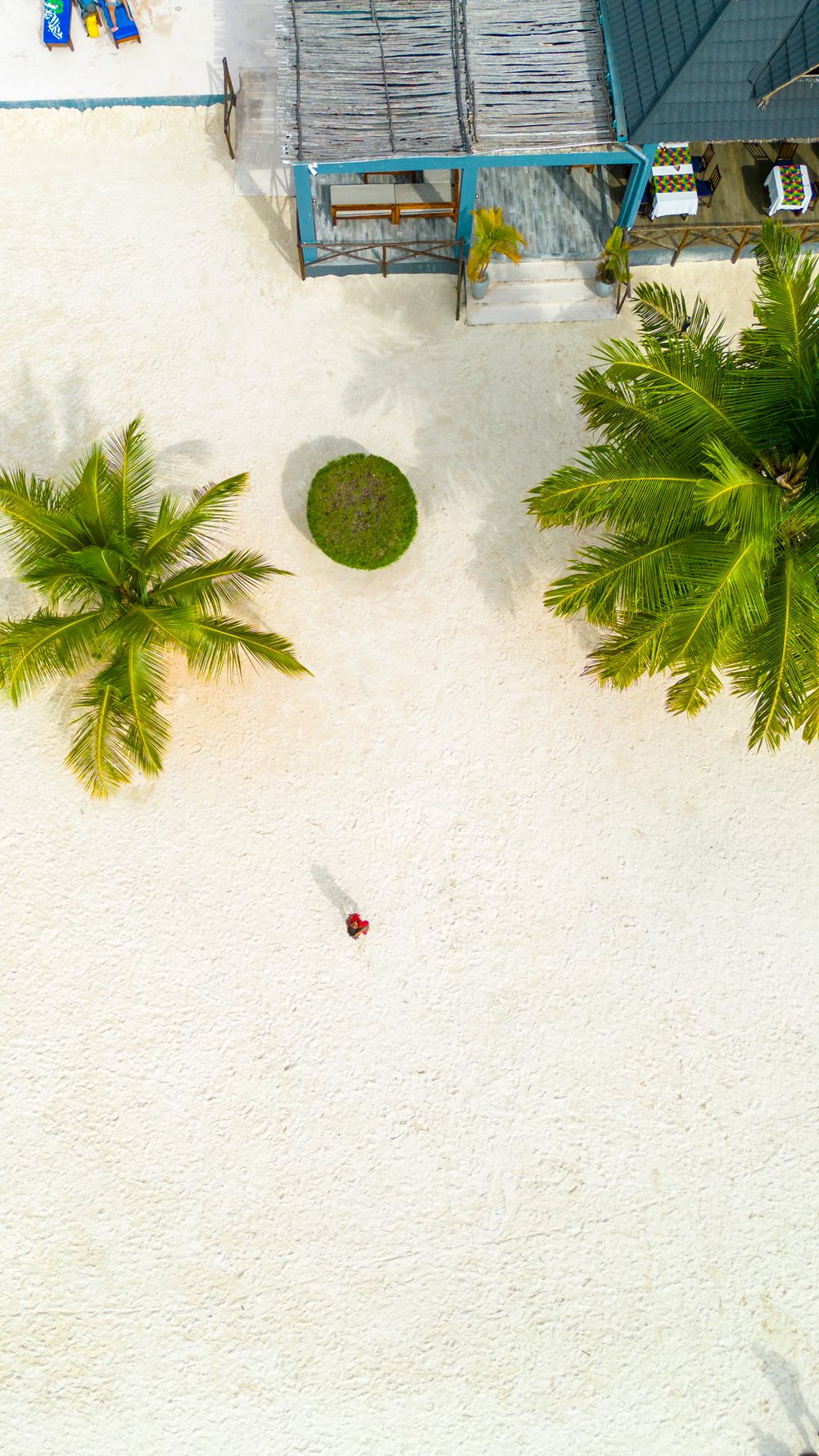 Palm-lined tropical beach with clear water